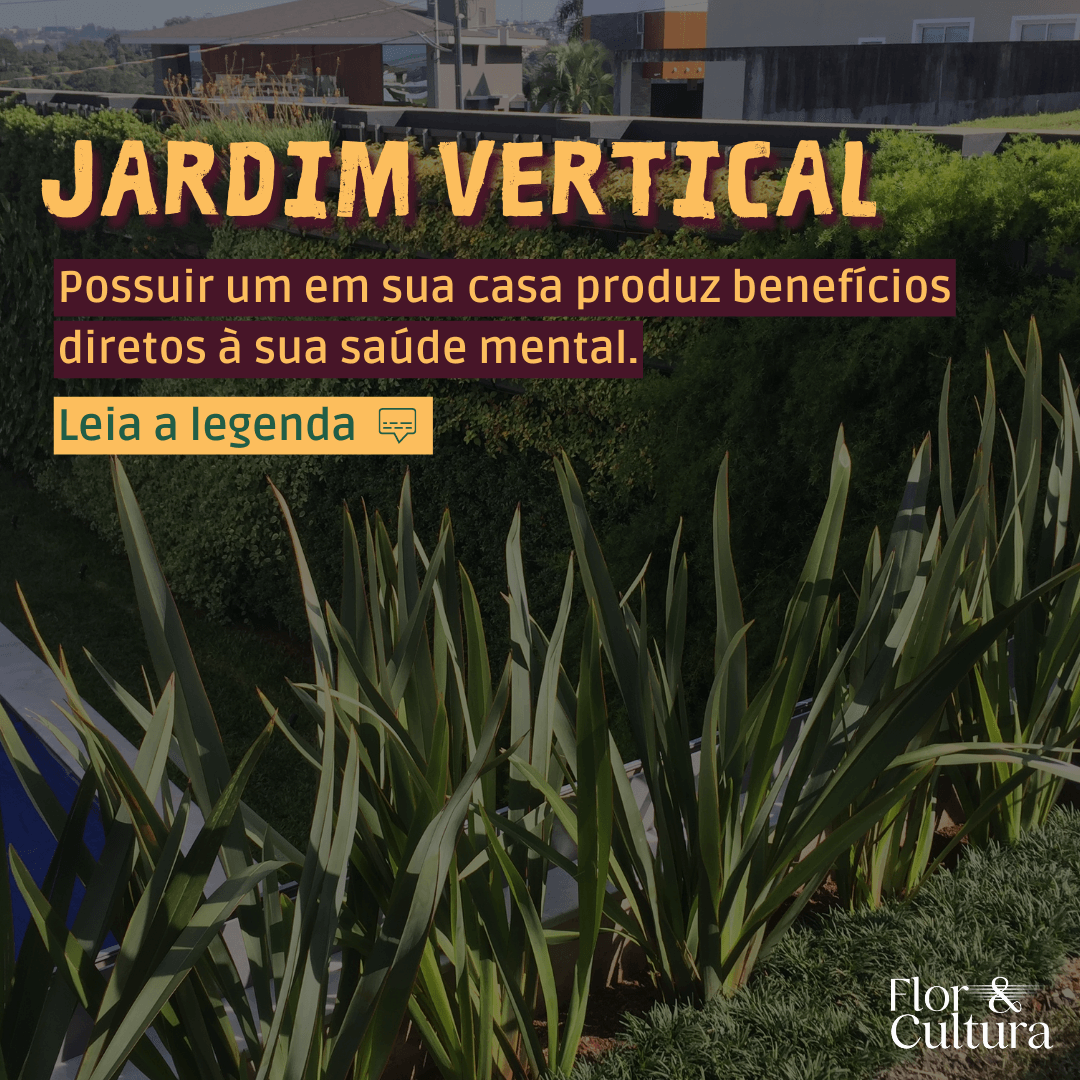 jardins verticais saúde mental